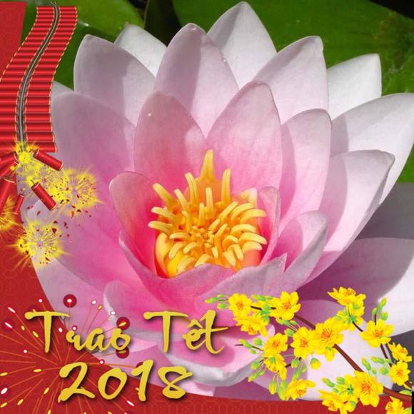 Meet your Posher, Lien - Picture 1 of 1